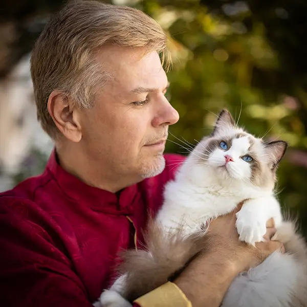 ragdoll-kittens-breeder